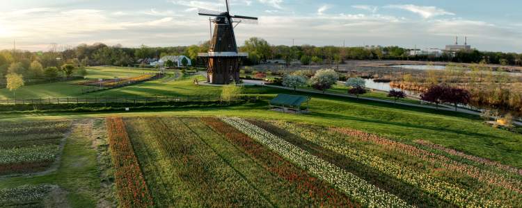 Windmill Island Tulip Time