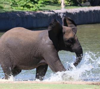 Sedgwick County Zoo - Wichita KS, 67212