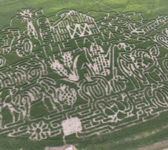 Red's Corn Maze & Pumpkin Patch - Oakley KS, 67748