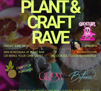 biodegradable pot plants CowPots #4 Square