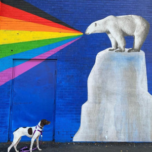 Social Widget Only - Dog and Mural