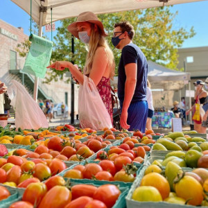 Social Widget Only - Farmers Market