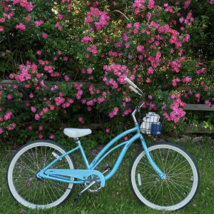 Bike and flowers