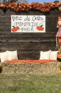 Parc de Oaks Pumpkin Patch