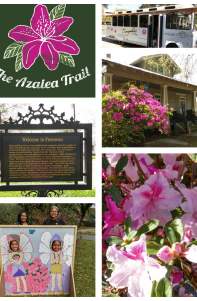 Trolley Tours Lafayette Historic Azalea Trail