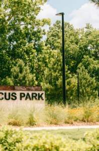 Fit for All Series: Yoga in the Park