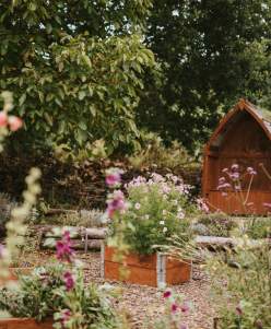 A view of Liquorice Park community garden in Lincoln, with spring flowers in the forefront