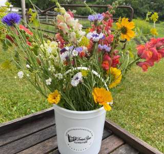 Dented Gage Flower Farm Bucket