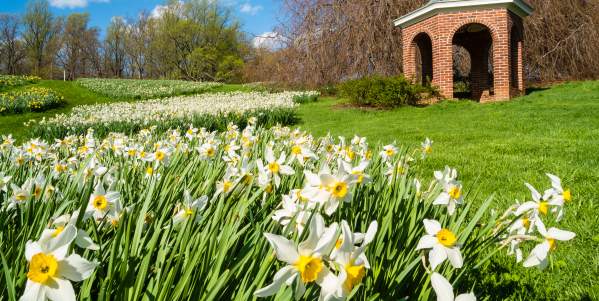 Winterthur Museum’s Chris Strand Named 2025 Honorary Member of The Garden Club of America