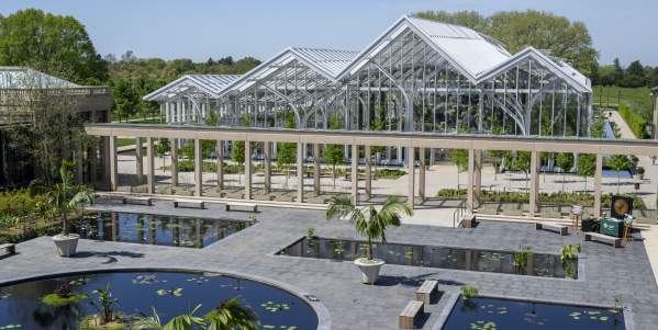 A Summer of Blooming Beauty: Longwood Gardens’ Waterlily Court Returns for the Festival of Fountains