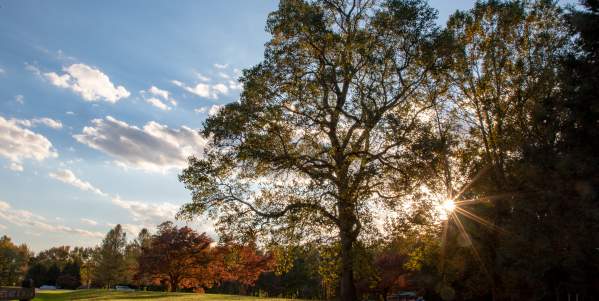 Discover New Castle County’s Delaware State Parks: Collect, Explore, and Learn!