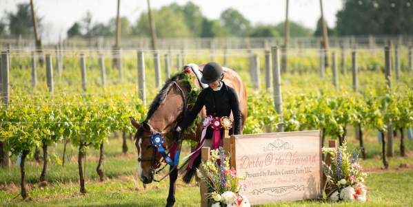 Derby at the Vineyard: A Fusion of Equestrian Excellence and Vineyard Charm