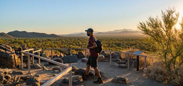 Visit Tucson