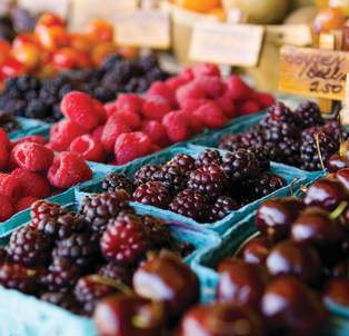 Blossom & Harvest Dates