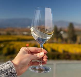 Wine Touring 101