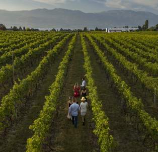 Volcanic_Hills_Estate_Winery_Aerial_October_7_