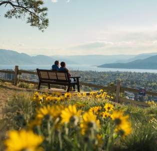 A couple sitting on a bench at Dilworth Park, overlooking Kelowna and Okanagan Lake. There are blooming Okanagan sunflowers in the foreground.
