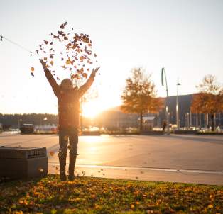 Girl Throwing Leaves - Stuart Park