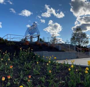 Stuart Park Bear with Tulips