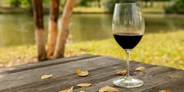 Doukenie Wine Glass