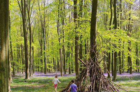 Discover Winnie‑the‑Pooh Inspired Spots Across Sussex