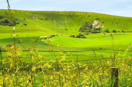 20 things you can only see and do in Sussex