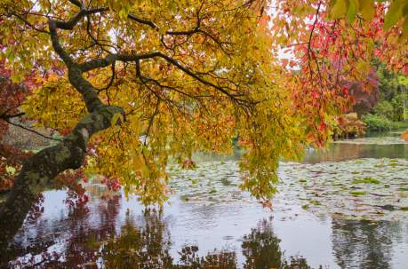 Why Sussex Is Your Perfect Autumn Escape This Year