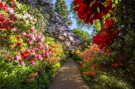 Discover the secret gardens of Sussex