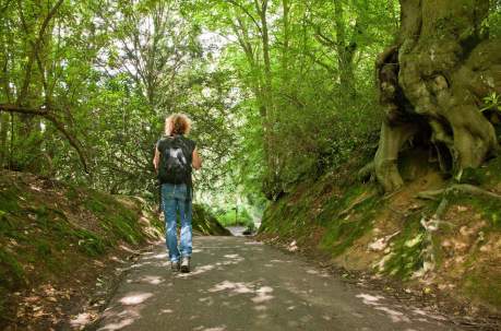 Unmissable walks across Sussex