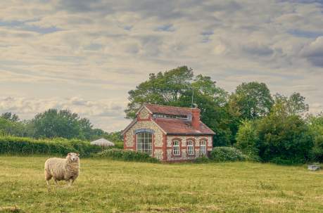 Luxury holiday homes in Sussex