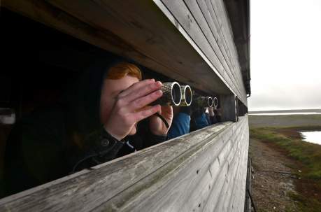 Top Wildlife Trust Nature Reserves in East and West Sussex