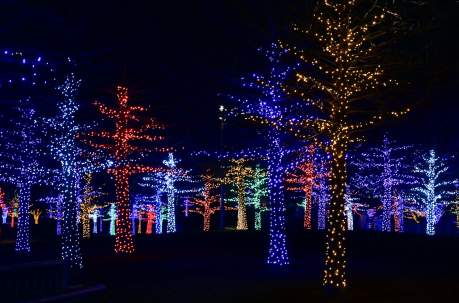 Festive Light Trails in Sussex 2025