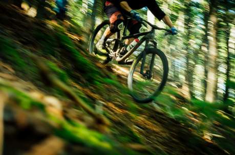 Cycling routes in Sussex