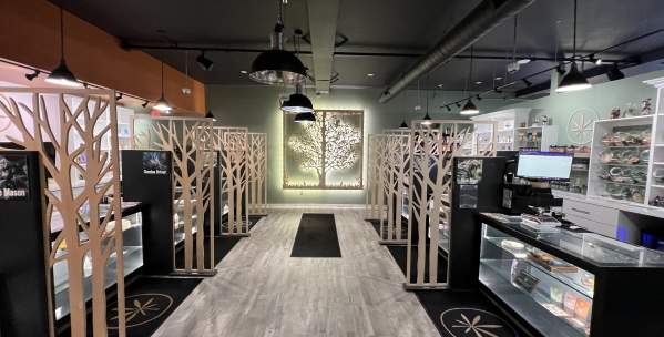 Interior of Apothecary Certified Organic