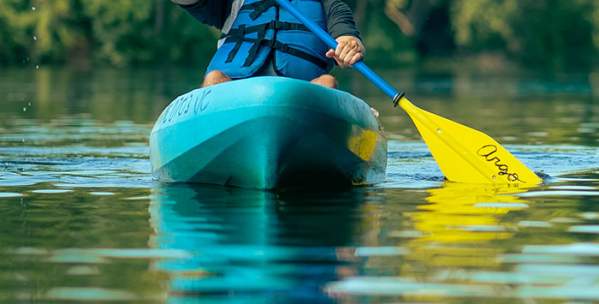 Huron River Water Trail kayaking