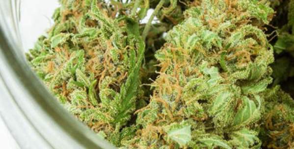 Jar of cannabis