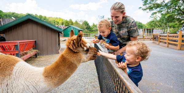 Living Treasures family feeding a llama