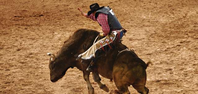 Man Riding a Bull at the Rodeo