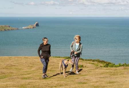 Couple walking their greyhound on coastline