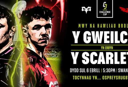 Y Gweilch yn erbyn y Scarlets