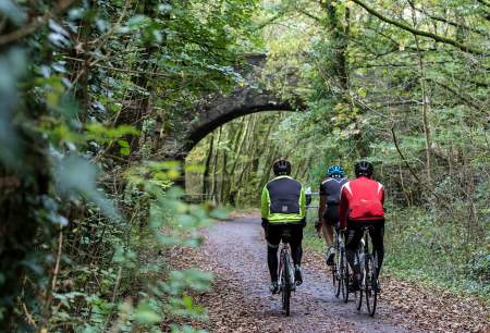 Three cyclists, cycling away from the camera, on a bike path surrounded by trees.
