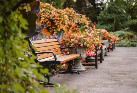 Botanical Gardens at Singleton