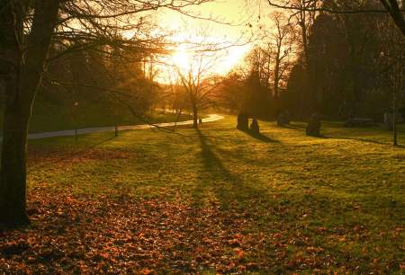 Singleton Park in the winter