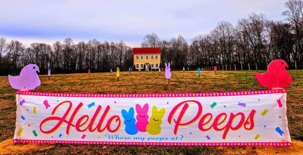 Easter Egg Hunts, Brunches & More