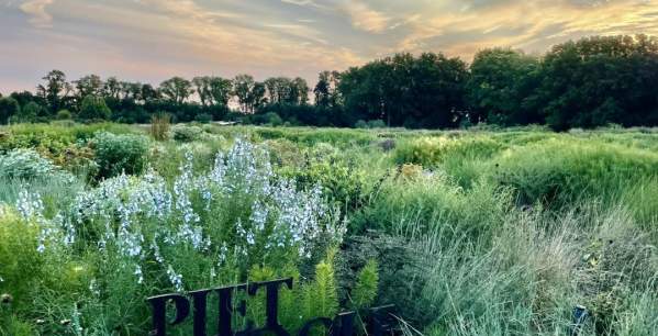 Venture Beyond the Sand in Southern Delaware