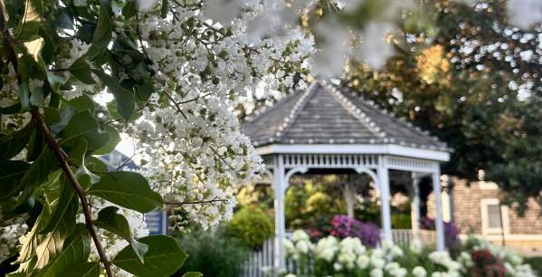 A Girl's Guide to Delaware
