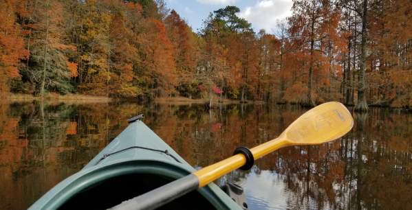 What's New with Delaware State Parks?