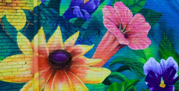 Murals You Will Love in York County