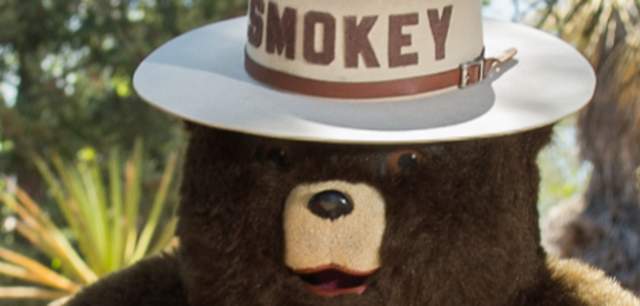 Smokey Bear Days