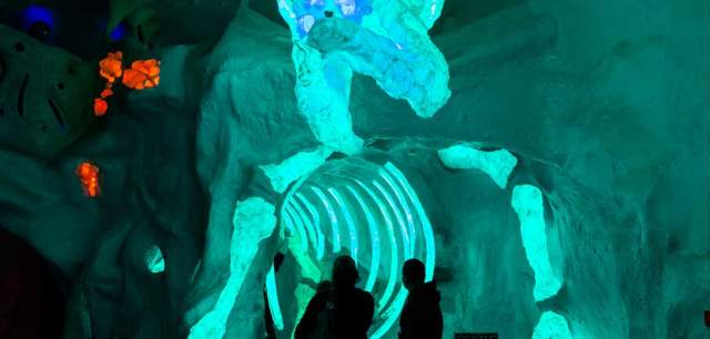Meow Wolf